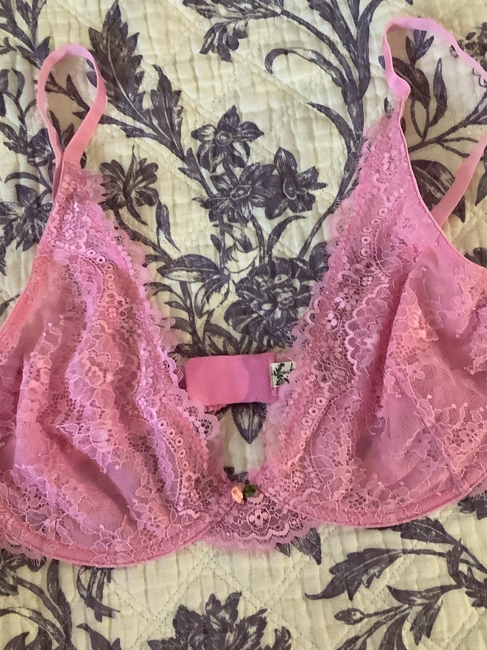 Free People Pink Lace Bralette - Sheer Floral Design